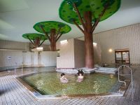 hotelgreen2020c.jpg